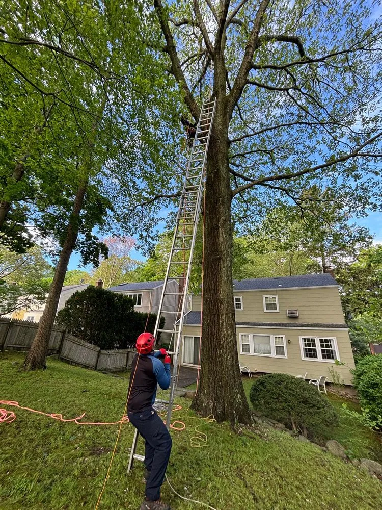 Affordable landscaping services for year-round maintenance across Huntington, NY - Arcadia Outdoors