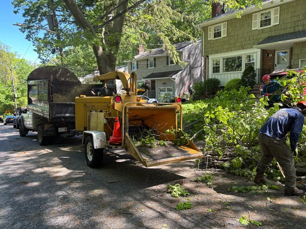 Affordable landscape installation for homes across Huntington, NY - Arcadia Outdoors