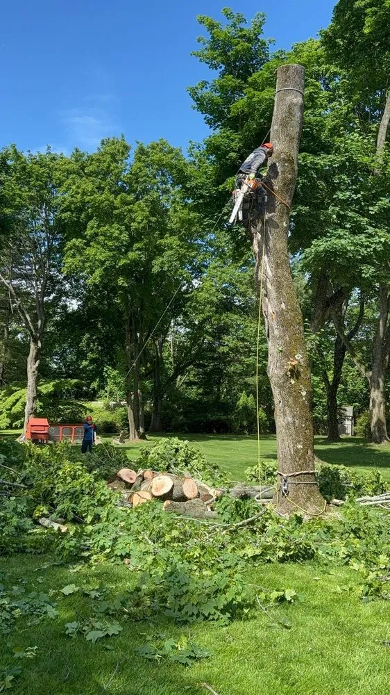 Affordable landscape installation for residential properties in Huntington, NY by Arcadia Outdoors