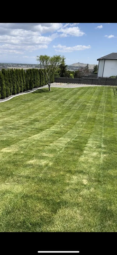 Trusted yard cleanup service experts serving Pasco, WA - Arcadia