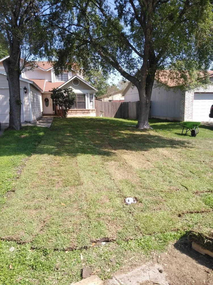 Affordable yard maintenance in San Antonio, TX by Arcadian Irrigation and Landscapes