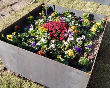 Local lawn care service in San Antonio, TX - Arcadian Irrigation and Landscapes