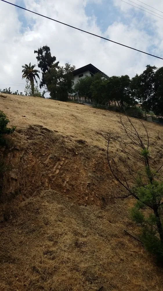 Custom residential landscaping in Pomona, CA - Arcadian Tree Service And Landscape