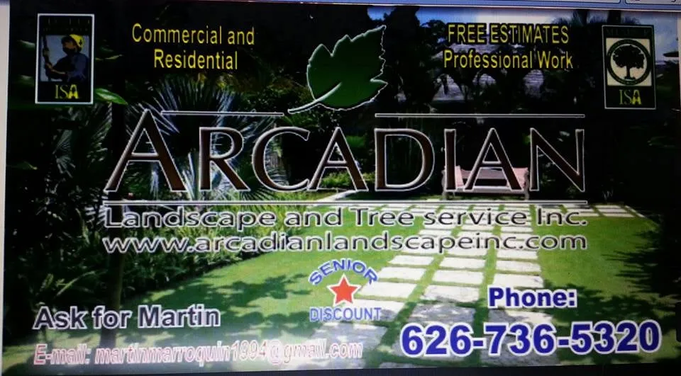 Reliable landscape design experts serving Pomona, CA - Arcadian Tree Service And Landscape