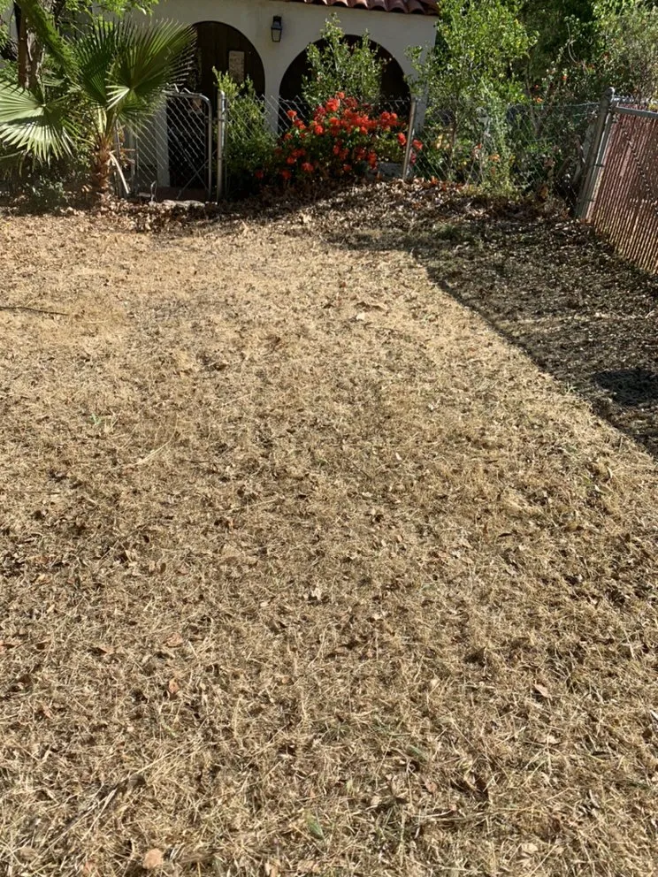 Trusted residential landscaping for year-round maintenance in Pomona, CA by Arcadian Tree Service And Landscape