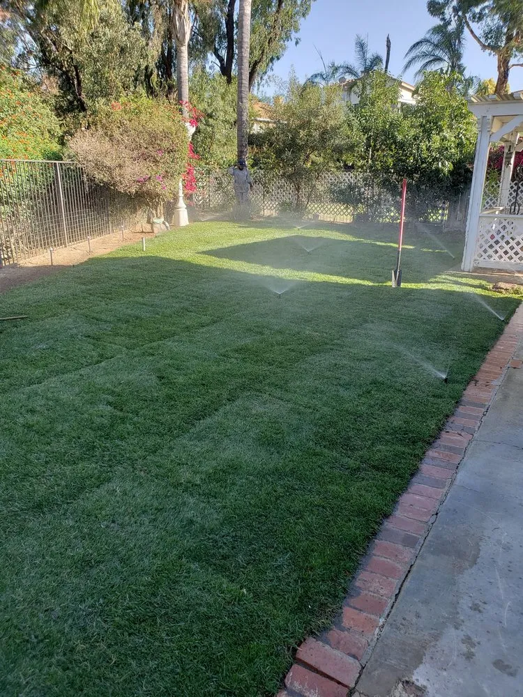 Trusted yard maintenance for year-round maintenance in Pomona, CA by Arcadian Tree Service And Landscape