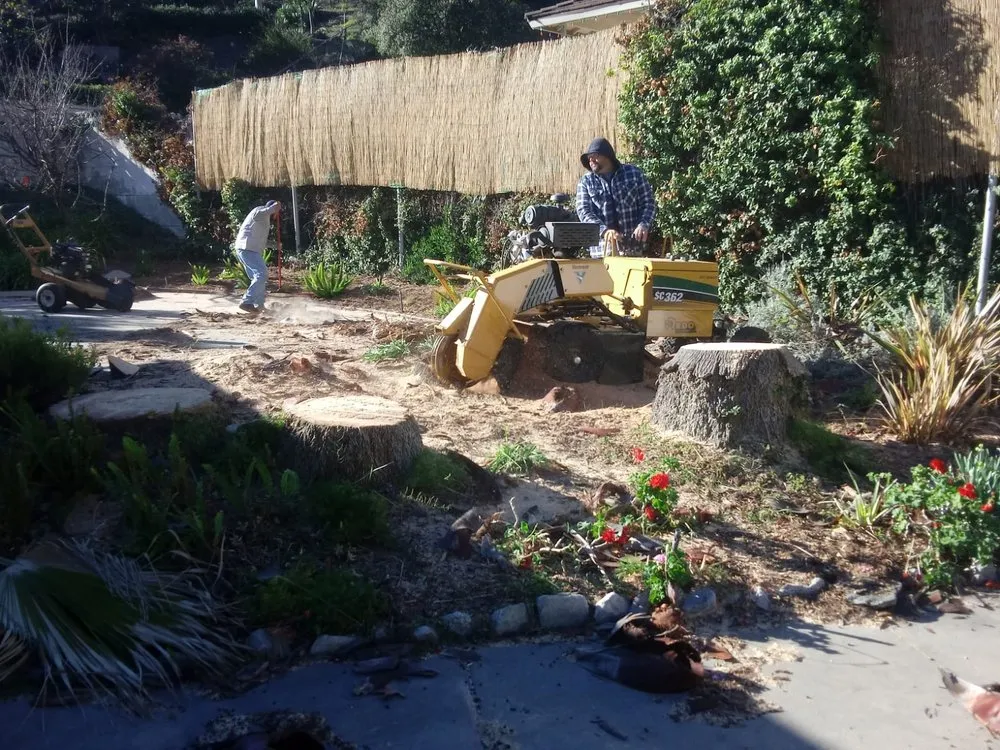 Trusted outdoor landscaping in Pomona, CA by Arcadian Tree Service And Landscape