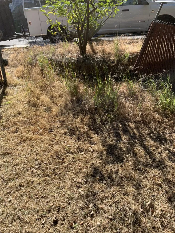 Expert garden landscaping for homes in Pomona, CA by Arcadian Tree Service And Landscape