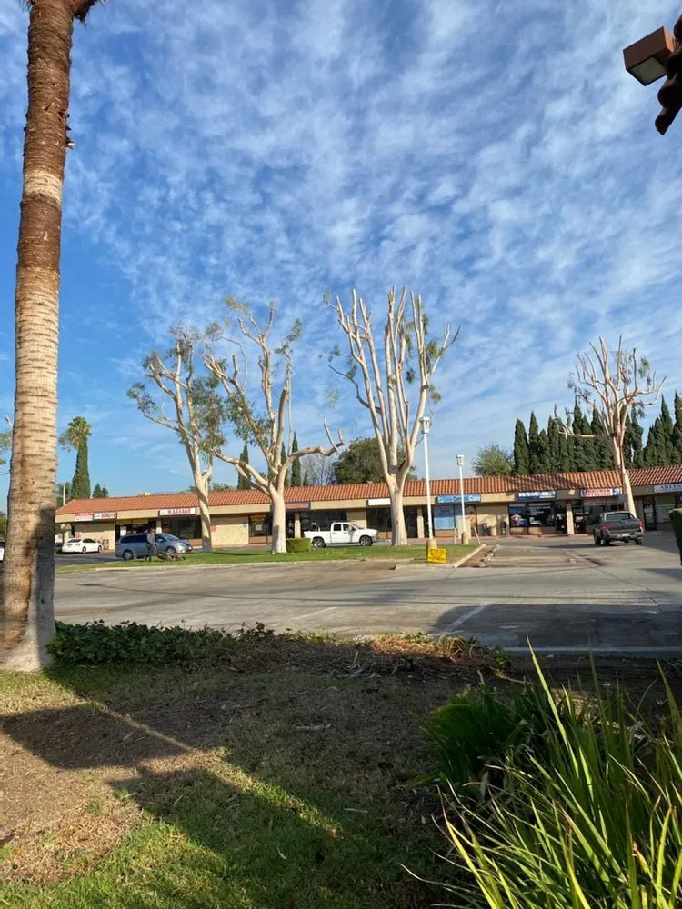 Trusted landscape installation experts serving Pomona, CA - Arcadian Tree Service And Landscape