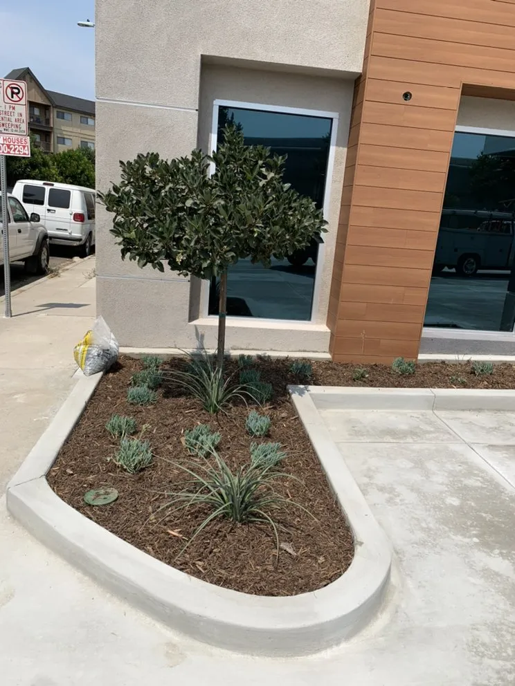 Reliable lawn care service experts serving Pomona, CA - Arcadian Tree Service And Landscape