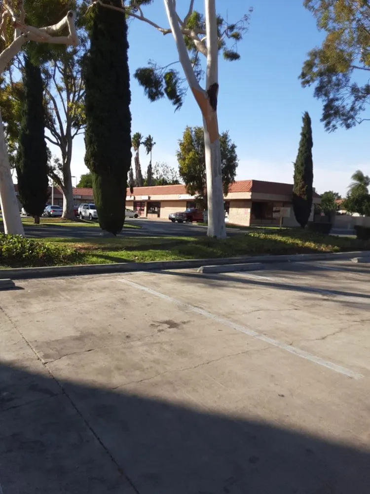 Expert garden landscaping in Pomona, CA by Arcadian Tree Service And Landscape