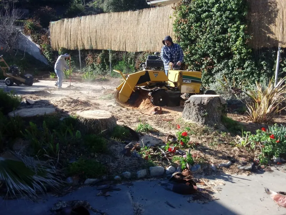 Reliable lawn mowing service in Pomona, CA by Arcadian Tree Service And Landscape