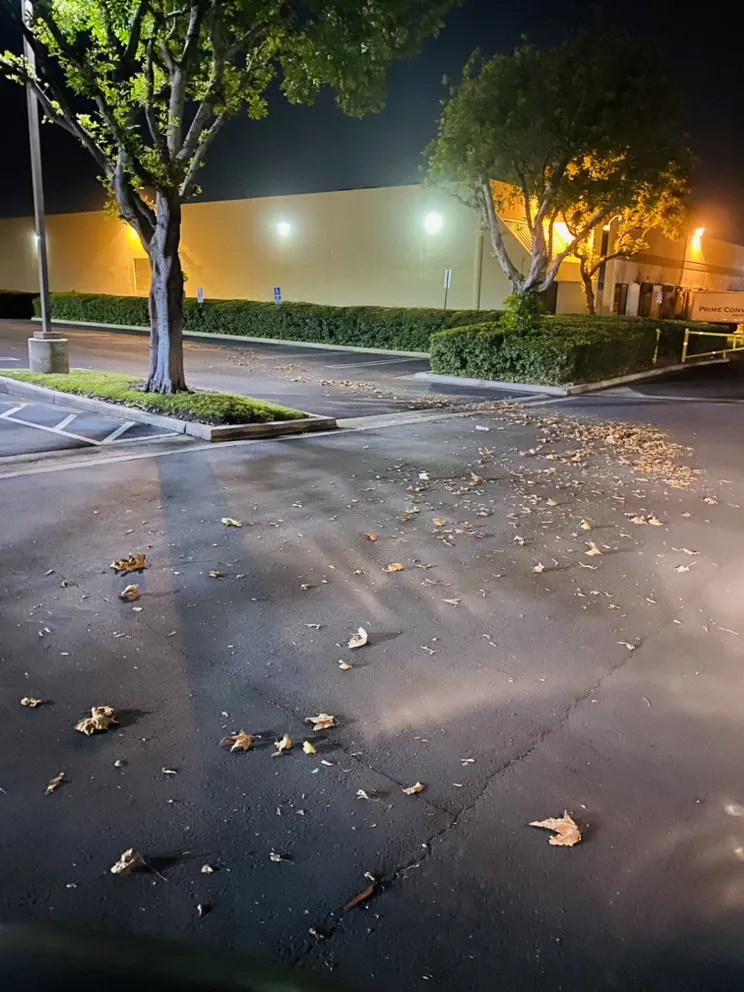 Top-rated garden landscaping for residential properties across El Monte, CA - Arce Property Sweeping Solutions