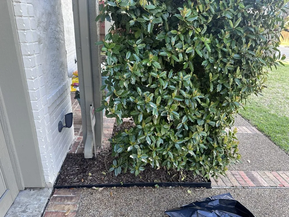 Custom landscape design for outdoor upgrades across Dallas, TX - Arce’s Landscaping