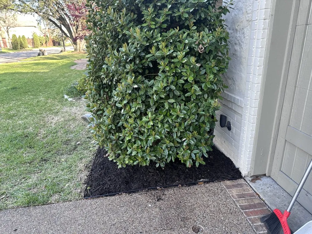 Local garden landscaping for beautiful yards across Dallas, TX - Arce’s Landscaping