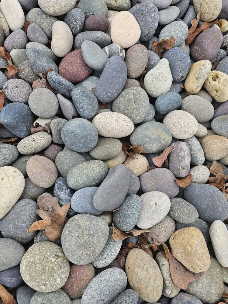 Reliable yard cleanup service near you across Lewisville, TX - Arces Lawn Service & Landscape