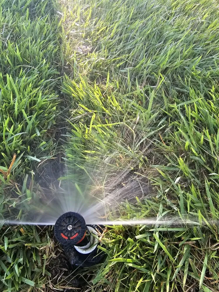 Custom garden landscaping for homes across Lewisville, TX - Arces Lawn Service & Landscape