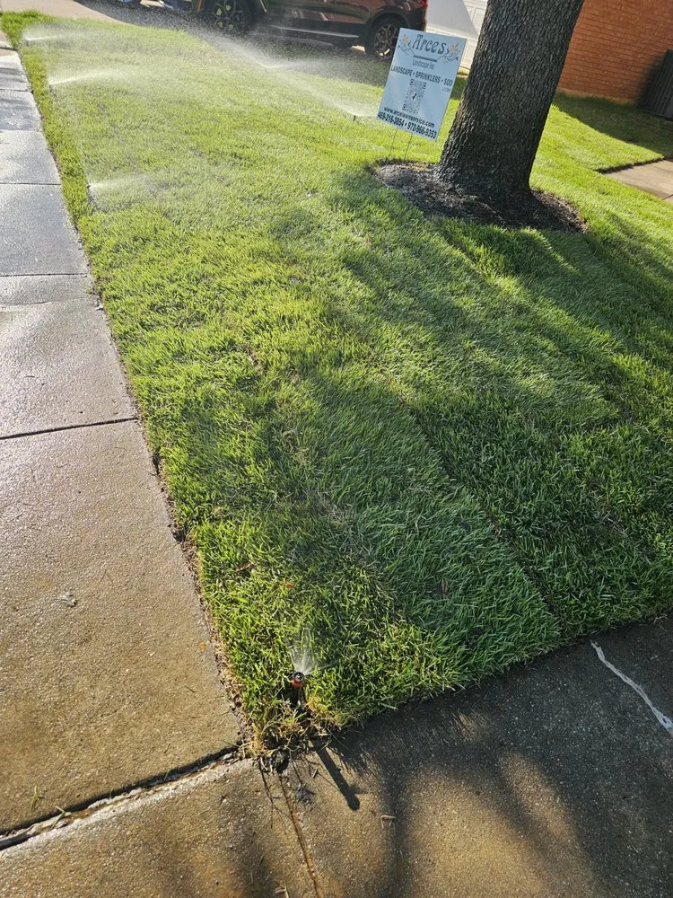 Reliable yard cleanup service for residential properties in Lewisville, TX by Arces Lawn Service & Landscape