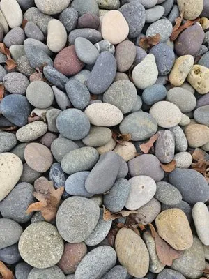 Arces Lawn Service & Landscape Logo