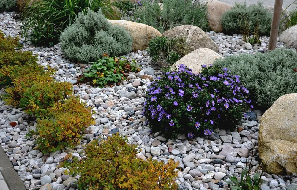 Reliable yard cleanup service near you across Ladson, SC - Arcestone Construction & Landscape