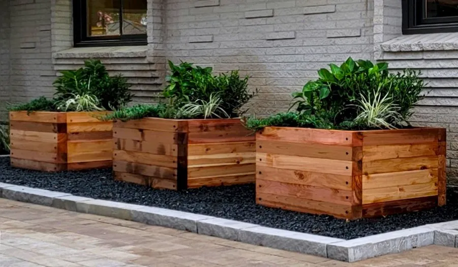 Top-rated lawn mowing service for year-round maintenance in Magnolia, TX by Archer Landscape Design