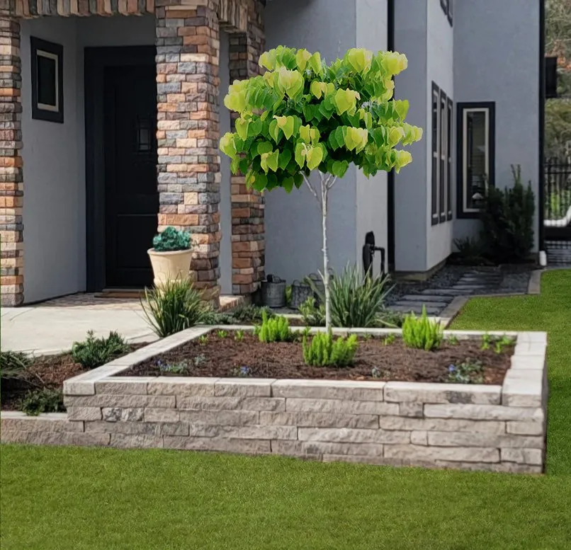 Local lawn mowing service experts serving Magnolia, TX - Archer Landscape Design