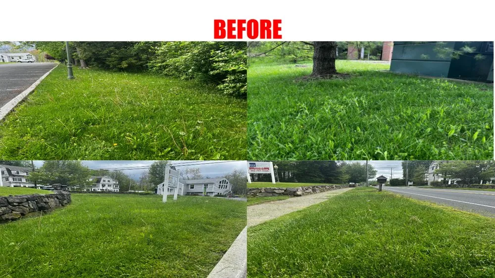 Professional yard cleanup service for residential properties across Ridgefield, CT - Archer Landscaping Service