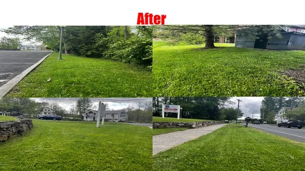 Archer Landscaping Service Logo