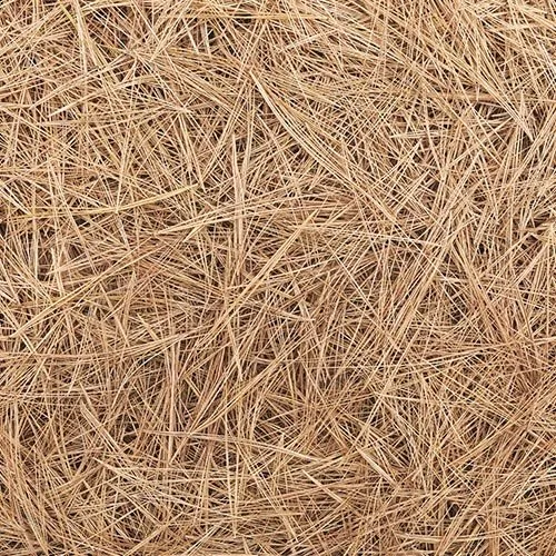 Local lawn mowing service for homes in Moody, AL by Archer Lawn Maintenance