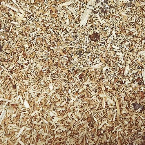 Affordable landscaping services for residential properties across Moody, AL - Archer Lawn Maintenance