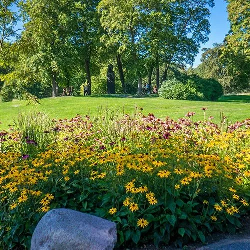 Reliable lawn care service in Moody, AL by Archer Lawn Maintenance