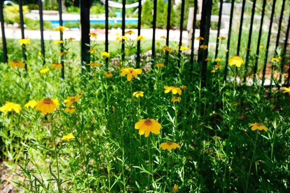 Top-rated residential landscaping experts serving Lockport, IL - Archer Pines Landscaping