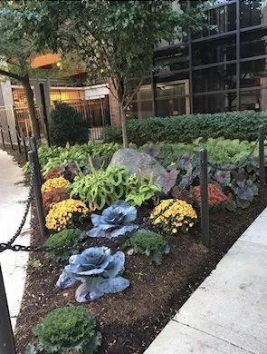 Top-rated outdoor landscaping for year-round maintenance in Lockport, IL by Archer Pines Landscaping