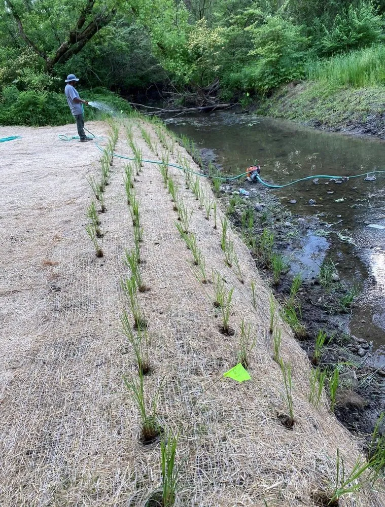 Custom yard cleanup service in Lockport, IL - Archer Pines Landscaping