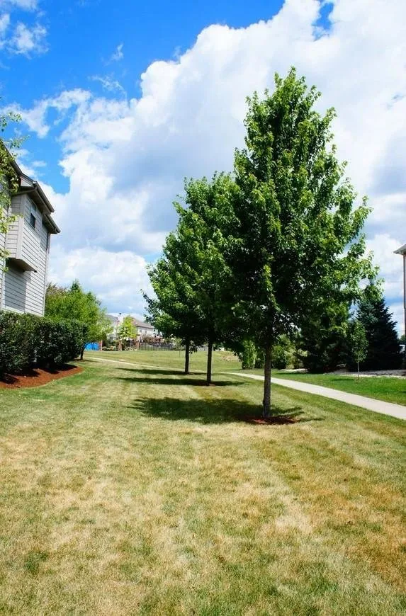 Trusted garden landscaping experts serving Lockport, IL - Archer Pines Landscaping