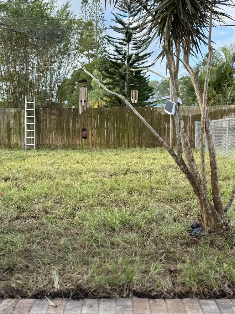 Expert landscape design for outdoor upgrades across Melbourne, FL - Archery Landscape