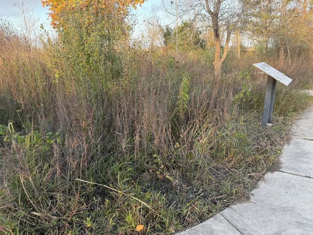 Professional landscaping services with custom design across Houston, TX - Archie’s Garden Beds