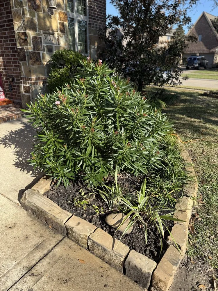 Reliable lawn mowing service in Houston, TX by Archie’s Garden Beds