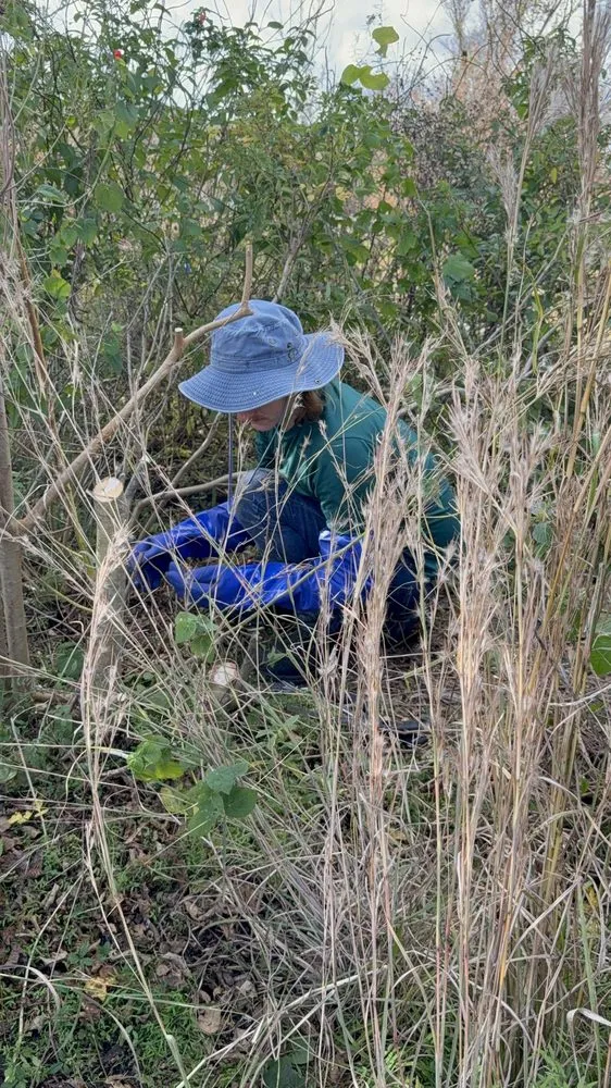 Professional lawn mowing service in Houston, TX by Archie’s Garden Beds