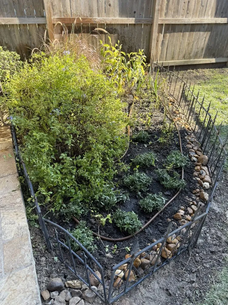 Custom outdoor landscaping for beautiful yards across Houston, TX - Archie’s Garden Beds