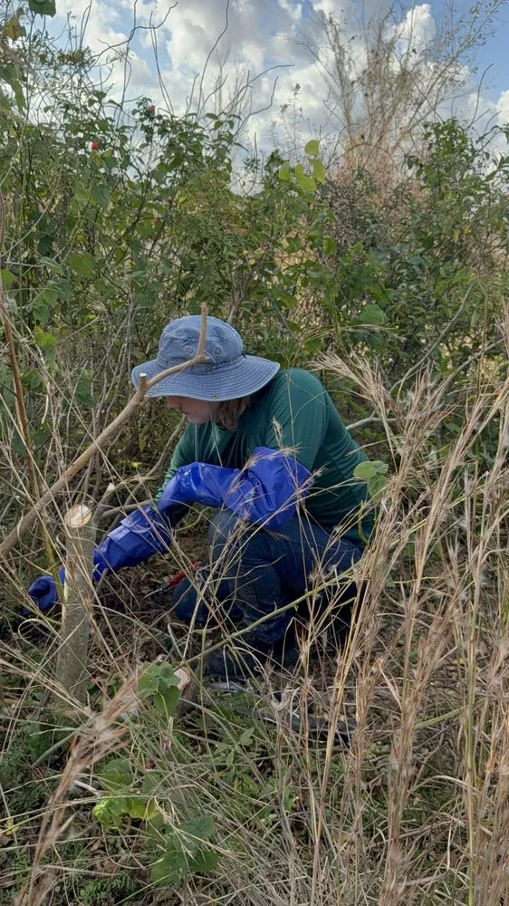 Local lawn care service in Houston, TX - Archie’s Garden Beds