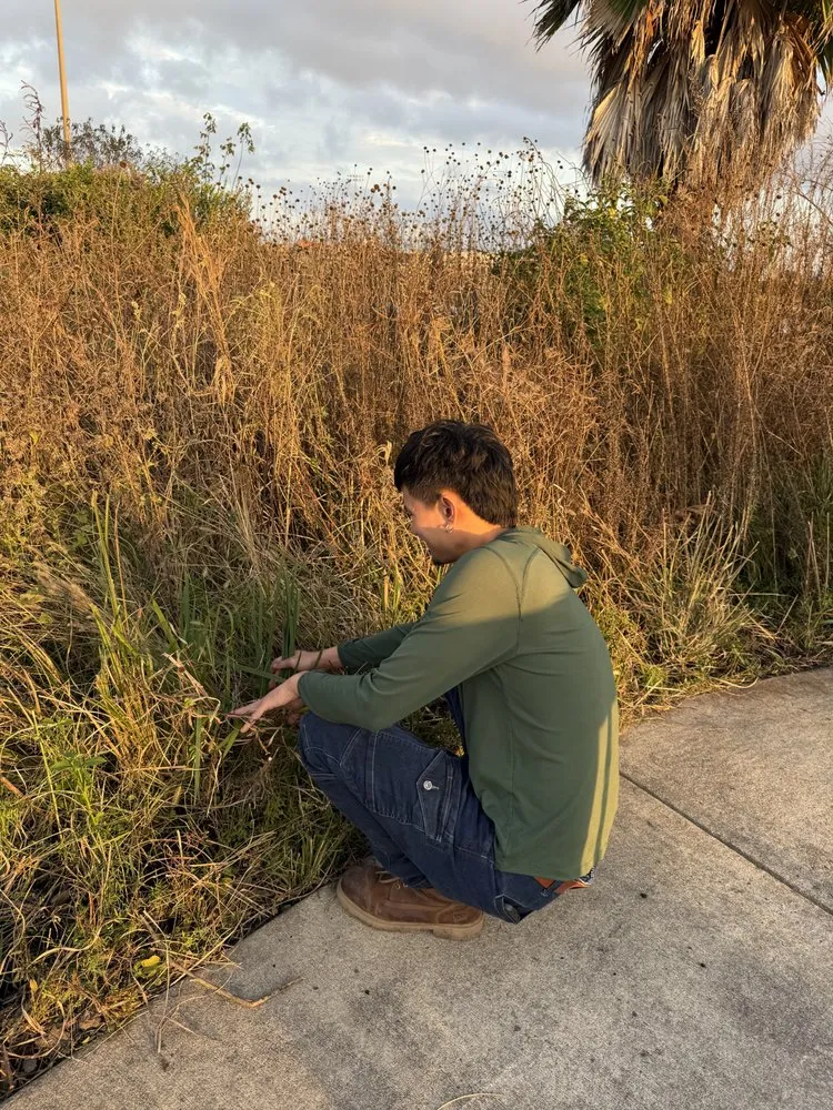 Expert lawn mowing service near you in Houston, TX by Archie’s Garden Beds