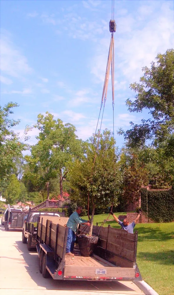 Reliable landscape design for outdoor upgrades across Houston, TX - Architectural Land Design