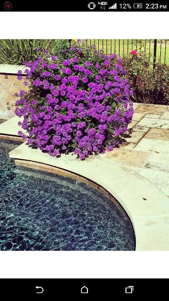 Local lawn care service in Houston, TX - Architectural Land Design