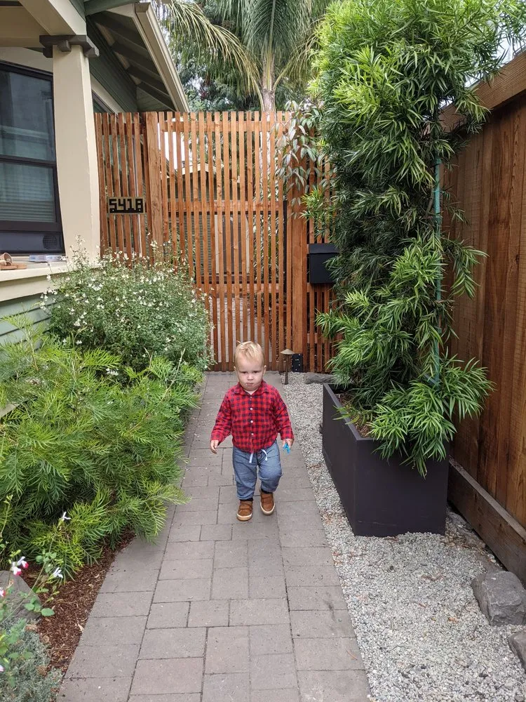 Professional outdoor landscaping in Berkeley, CA - Architectural Pavers and Landscape Company