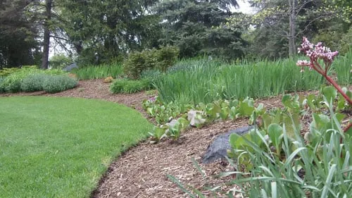 Trusted outdoor landscaping in Indian Creek, IL - Architerra