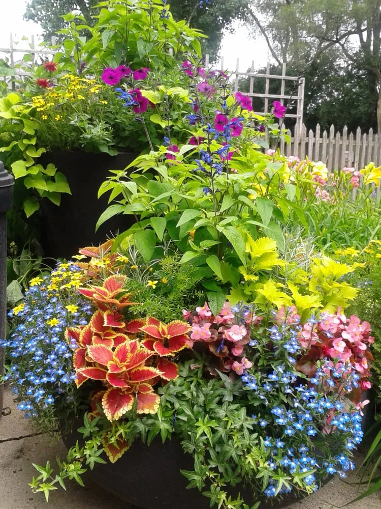 Trusted yard cleanup service with custom design across Indian Creek, IL - Architerra