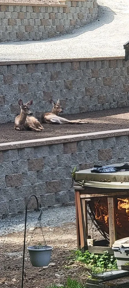 Trusted yard maintenance in Puyallup, WA - Archterra Landscape Services