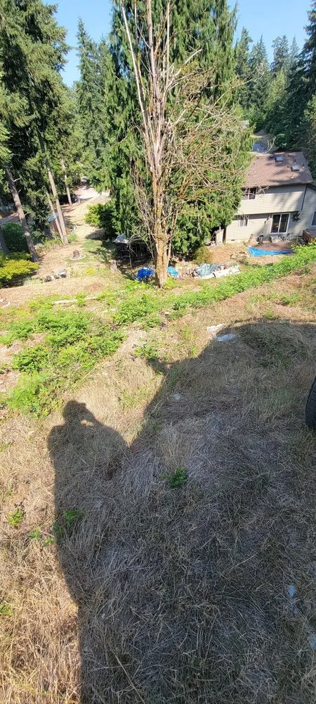 Top-rated landscaping services in Puyallup, WA by Archterra Landscape Services