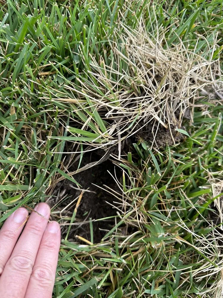 Top-rated landscaping services in Ofallon, MO - Archway Lawn Care